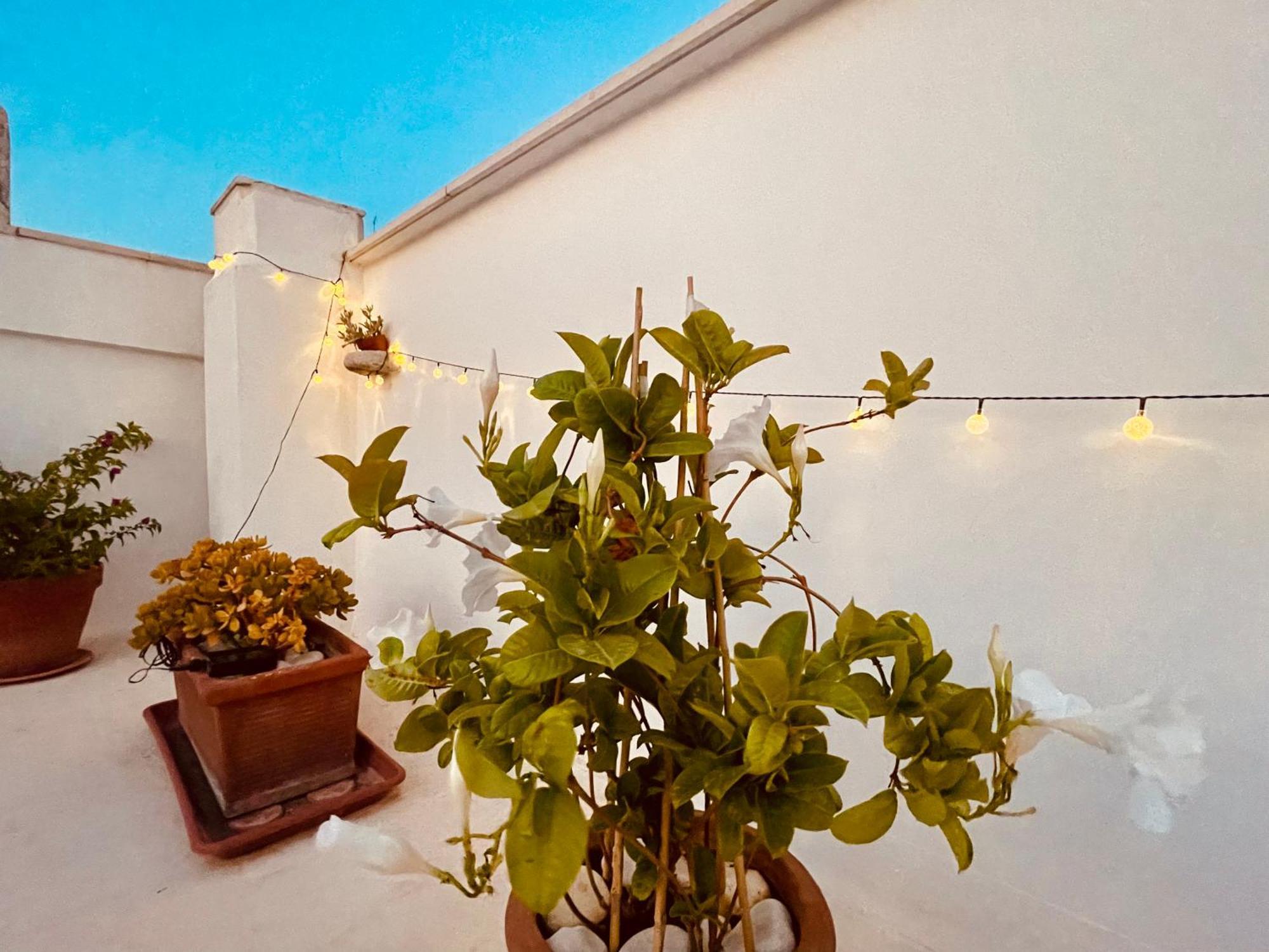 Le Nicchie Villa Bisceglie Exterior photo